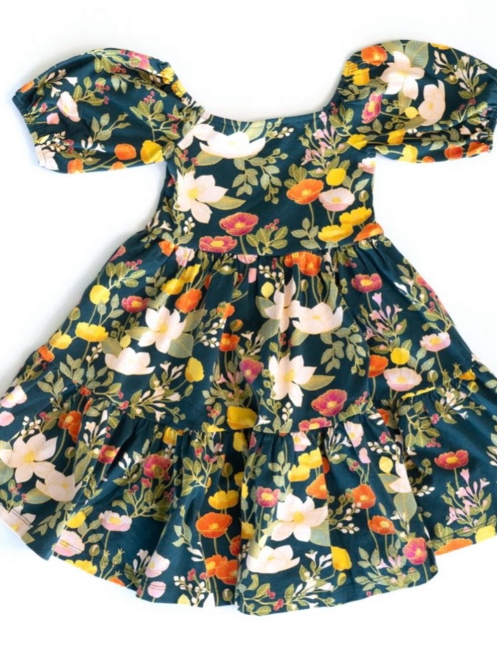 Alice + Ames Juliet Dress in Midnight Botany size 5
